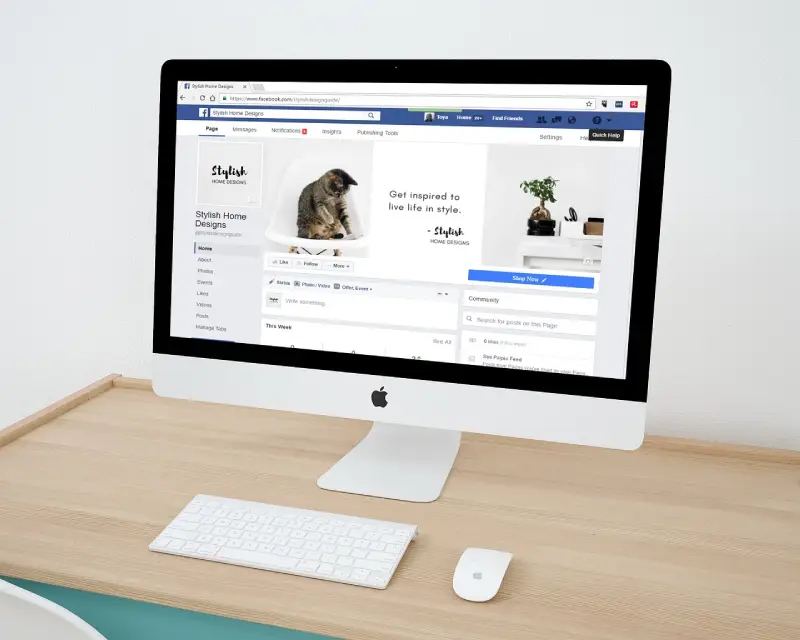 social media marketing agency